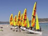 Hobie cat dragoon