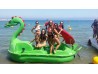 Dragon Pedal Boat