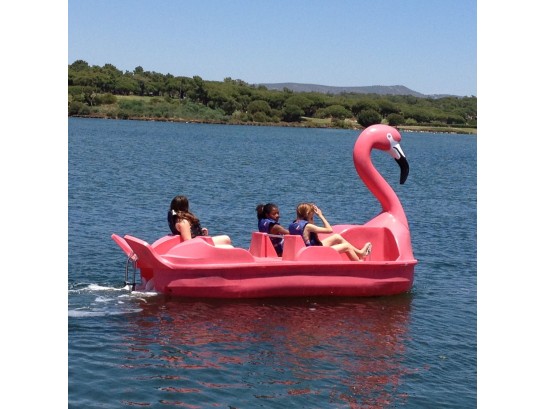 Flammingo Pedal Boat