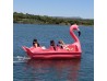 Flammingo Pedal Boat