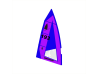 Voile Windsurfer 4,7 m² – Idéale vent fort et débutants, marçon yachting