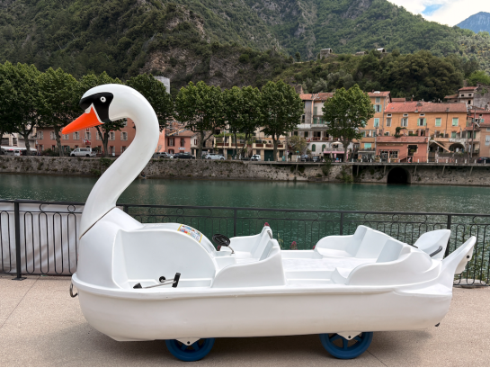 Swan Pedal Boat