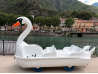 Swan Pedal Boat