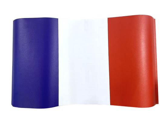 France Flag Insignia Sticker for ILCA 56 x 33 cm