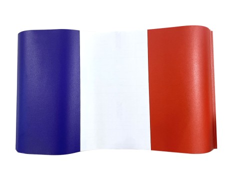 Drapeau France autocollant Insignia ILCA 56 x 33 cm, marçon yachting
