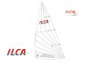Voile / Sail ILCA 7 (Mk2)