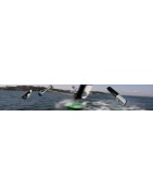 Breadcrumb image